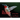 The Ruby-throated Hummingbird: A Photo Essay