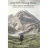 One Path Among Many: a cancer patient's experiences and insights about his personal journey