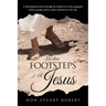 In the Footsteps of Jesus: A chronological journey through the gospels set in the geography, politics, people, power, culture and history of the day