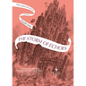 The Storm of Echoes: Book Four of the Mirror Visitor Quartet