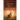 Death of a Matador