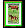 Breeding For Solid Conformation