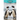 Penguins