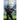 Halo: New Blood