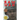 Raw Man