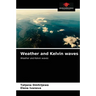 Weather and Kelvin waves