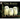 Owl Babies