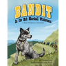 Bandit In The Bob Marshall Wilderness: A True Wilderness Adventure