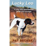 Lucky Leo: A dog who recovers his pride and courage