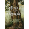 A Book Written For Angels: An interpretation of Swedenborg's "The Worship and Love of God"
