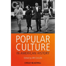 Popular Culture in American Hi