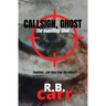 Callsign Ghost: The Haunting Shot: The