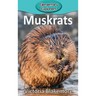Muskrats