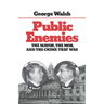 Public Enemies: The Mayor, the Mob, and the Crime That Was