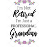 I'm Not Retired, I'm a Professional Grandma: Funny Notebook For Grandmoms (Retirement Gifts For Women, Great For Mother's Day, Birthdays, Christmas...