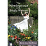 The Misadventures of a Single Woman