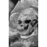 Pareidolia