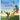Flying Jewels: A Hummingbird Story