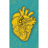Love is an Emotion: The Bible Tells Me So?