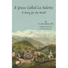 A Grace Called La Salette: A Story for the World