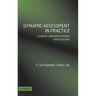 Dynamic Assessment in Practice