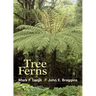 Tree Ferns