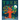 Tree: A Peek-Through Board Book