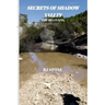 Secrets of Shadow Valley: The Beginning