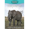 Elephants