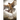 Ruthless Dawn, Wings of Change Book 2