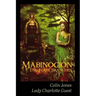 Mabinogion, the Four Branches: The Ancient Celtic Epic