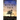 The Witch's Tree