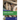 Global Diasporas: An Introduction