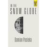 In the Snow Globe