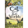 Cat Between Two Worlds