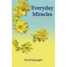 Everyday Miracles: the inner art of manifestation