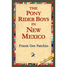 The Pony Rider Boys in New Mexico