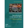 Electricity Access in Sub-Saharan Africa: Uptake, Reliability, and Complementary Factors for Economic Impact