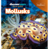 Mollusks