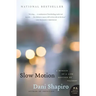 Slow Motion: A Memoir of a Life Rescued by Tragedy
