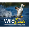 Wild Birds: North America's Most Unique Birds