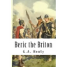 Beric the Briton