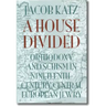 A House Divided: Orthodoxy and Schism in Nineteenth-Century Central European Jewry
