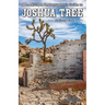 A Landscape Photographer's Guide to Joshua Tree National Park