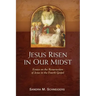 Jesus Risen in Our Midst: Essays on the Resurrection of Jesus in the Fourth Gospel