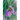 Symbiosis