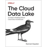 The Cloud Data Lake: A Guide to Building Robust Cloud Data Architecture