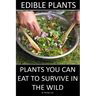 Edible Plants: Plants You Can Eat To Survive In the Wild