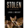 Stolen: A Kieran Yeats Mystery