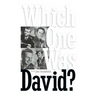 Which One Was David? (hardback)